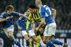 LOL赛事-关于沙尔克在主场战胜对手，挽回失利势头的信息