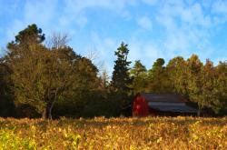-篮球世界的双重主宰，魔术强压山西与约基奇欧冠半决赛的接管艺术