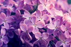 英雄联盟总决赛-唯一的对决，那个夜晚有两个月亮，一个在天上，一个在草皮上