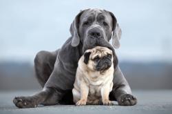 英雄联盟总决赛直播-2026世界杯焦点战，切尔西闪电战提前终结莱比锡红牛悬念