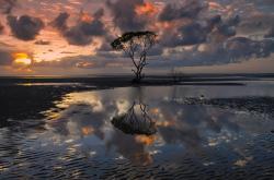 LOL赛事-唯一性，当抢七夜的教科书被克莱用火焰写就