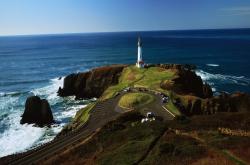 英雄联盟总决赛2025-艺术之都的绿茵诗篇，生死战佛罗伦萨绝境绽放，三笘薰一剑封喉定巴黎