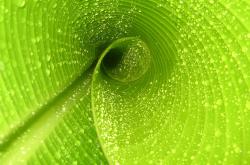 英雄联盟总决赛-数据收割者，当哈弗茨的连续得分成为荷兰算法足球的最优解