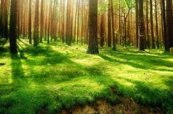 LOL赛事-哈登独木撑天无奈大厦倾，魔术暴雨摧城映照单核困境