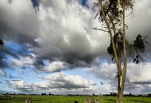 英雄联盟总决赛直播-阿斯顿马丁鏖战法拉利，勒克莱尔惊艳四座