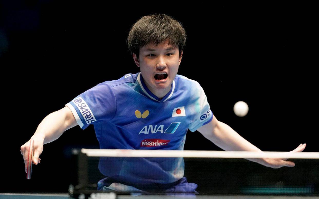 日本队险胜中国队，张本智和惊艳四座的简单介绍