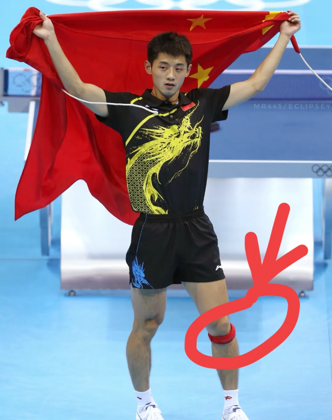 日本队翻盘波兰队,张继科惊艳四座 日本队翻盘波兰队,张继科惊艳四座