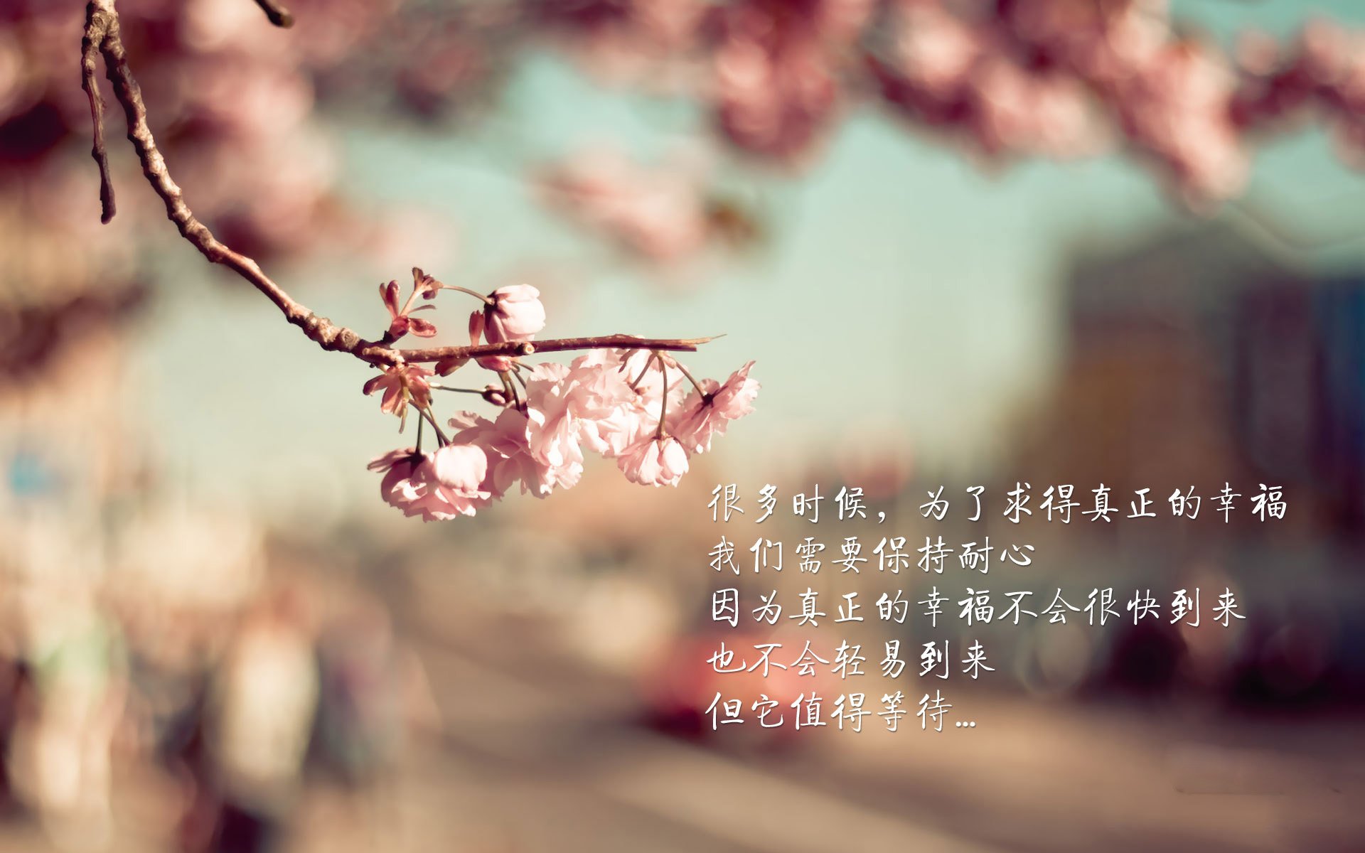 撒哈拉旋风碾碎石油雄鹰，摩洛哥战术纪律击败尼日利亚天赋，奏响世界杯序曲