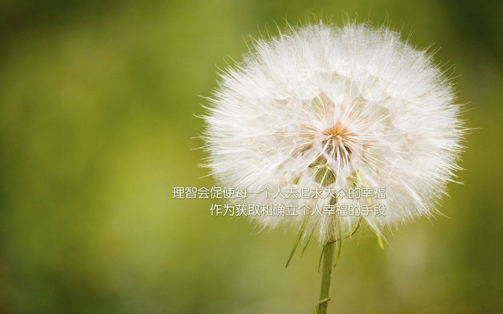 奇迹在卢班戈的夏日升起，阿克一剑封喉，安哥拉斩落巨人加拿大