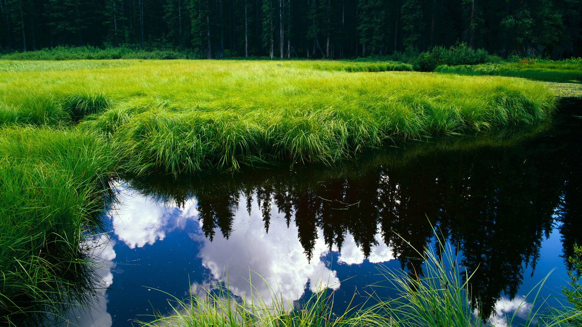 冰与火，帕尔默的独舞与日本队的秒针绝杀