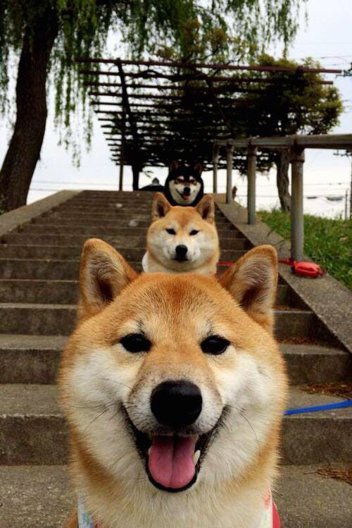 铁血绿林的战术绞杀,与艺术大师的天才闪光