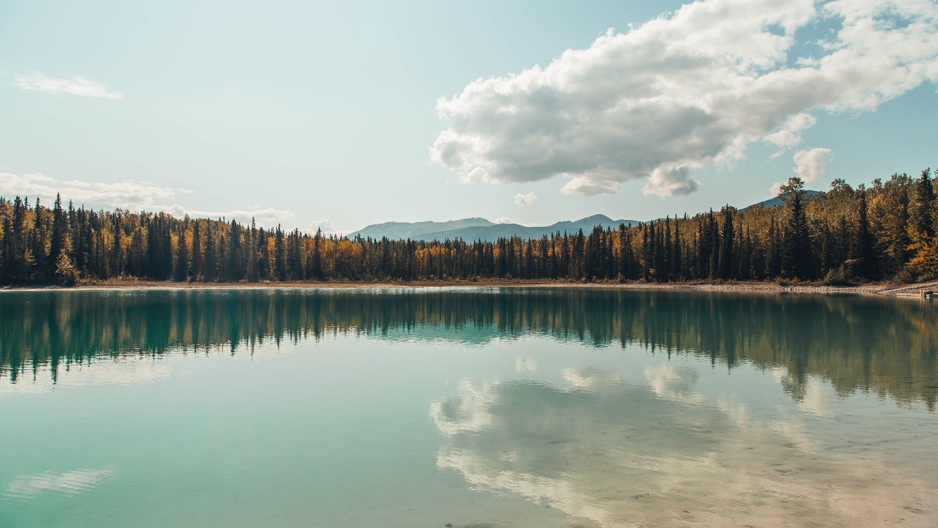 最纯粹的指挥官，哈利伯顿用一场定义性的胜利为自己正名