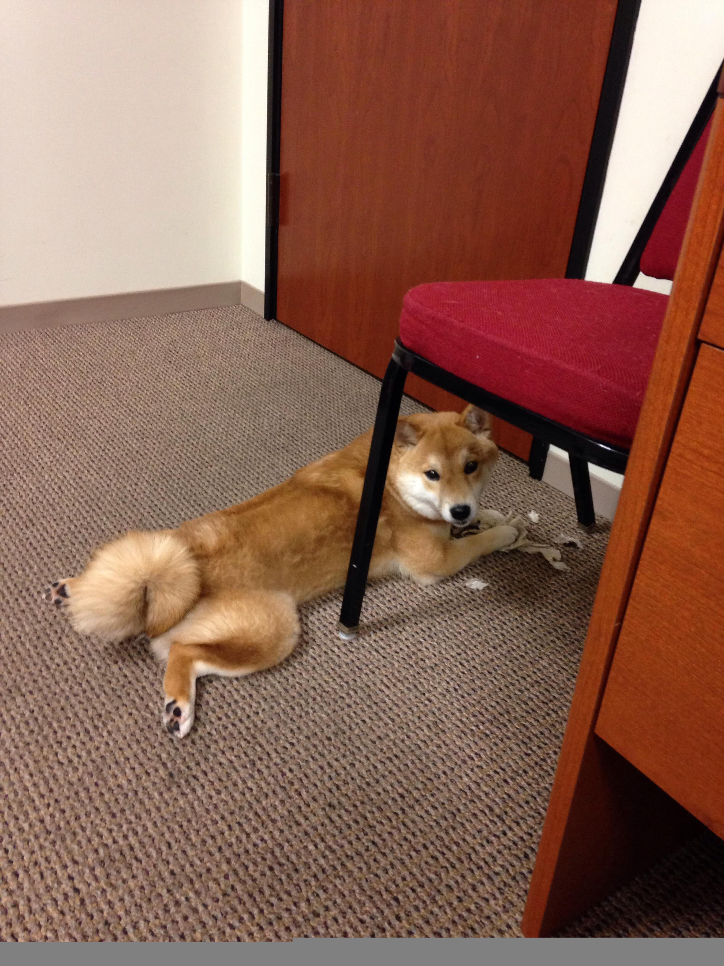 冰火交响曲,欧文独舞撕裂防线,掘金熔炉炼出争冠真金