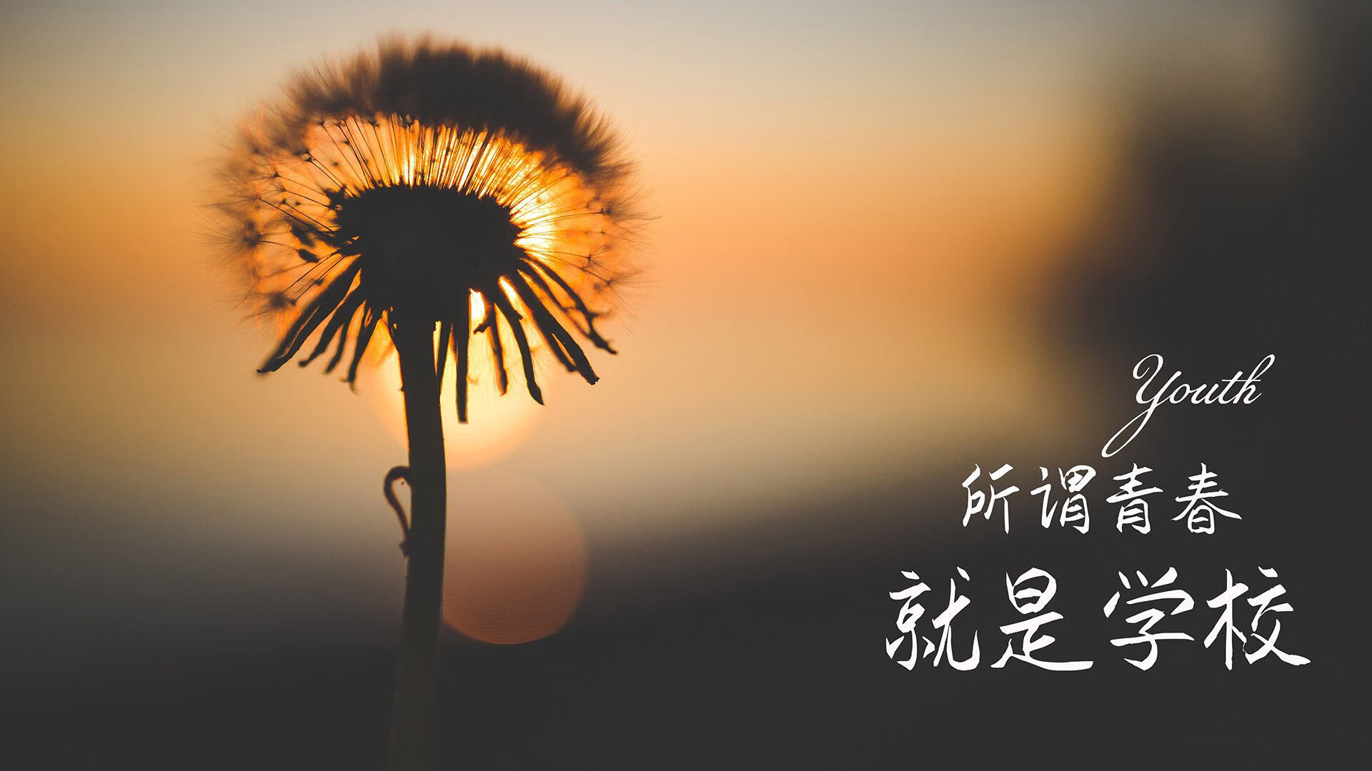 当CBA遇见NBA，广东队与尼克斯的跨洋对决，米切尔用压制级发挥书写唯一传奇