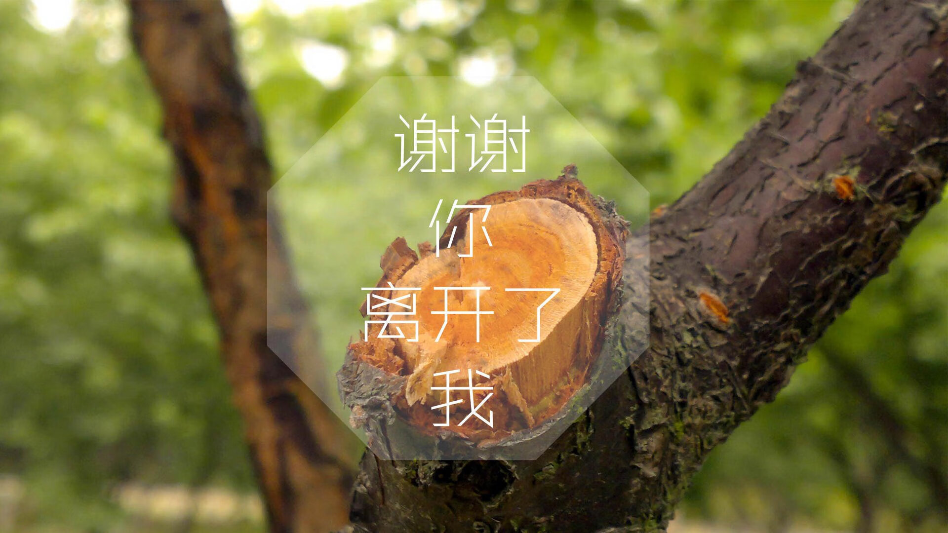 沙漠风暴席卷南美鹰，2026世界杯F组关键战，伊拉克大胜智利，莫德里奇带队取胜