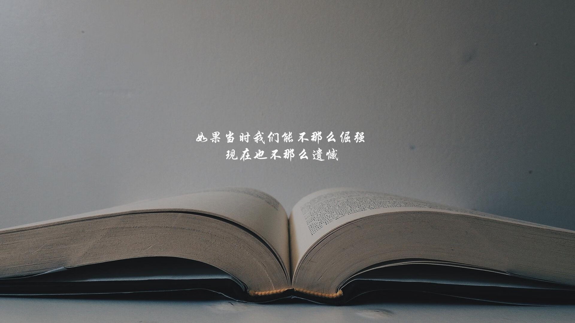 布罗佐维奇,那个在布达佩斯雨夜写下唯一的人