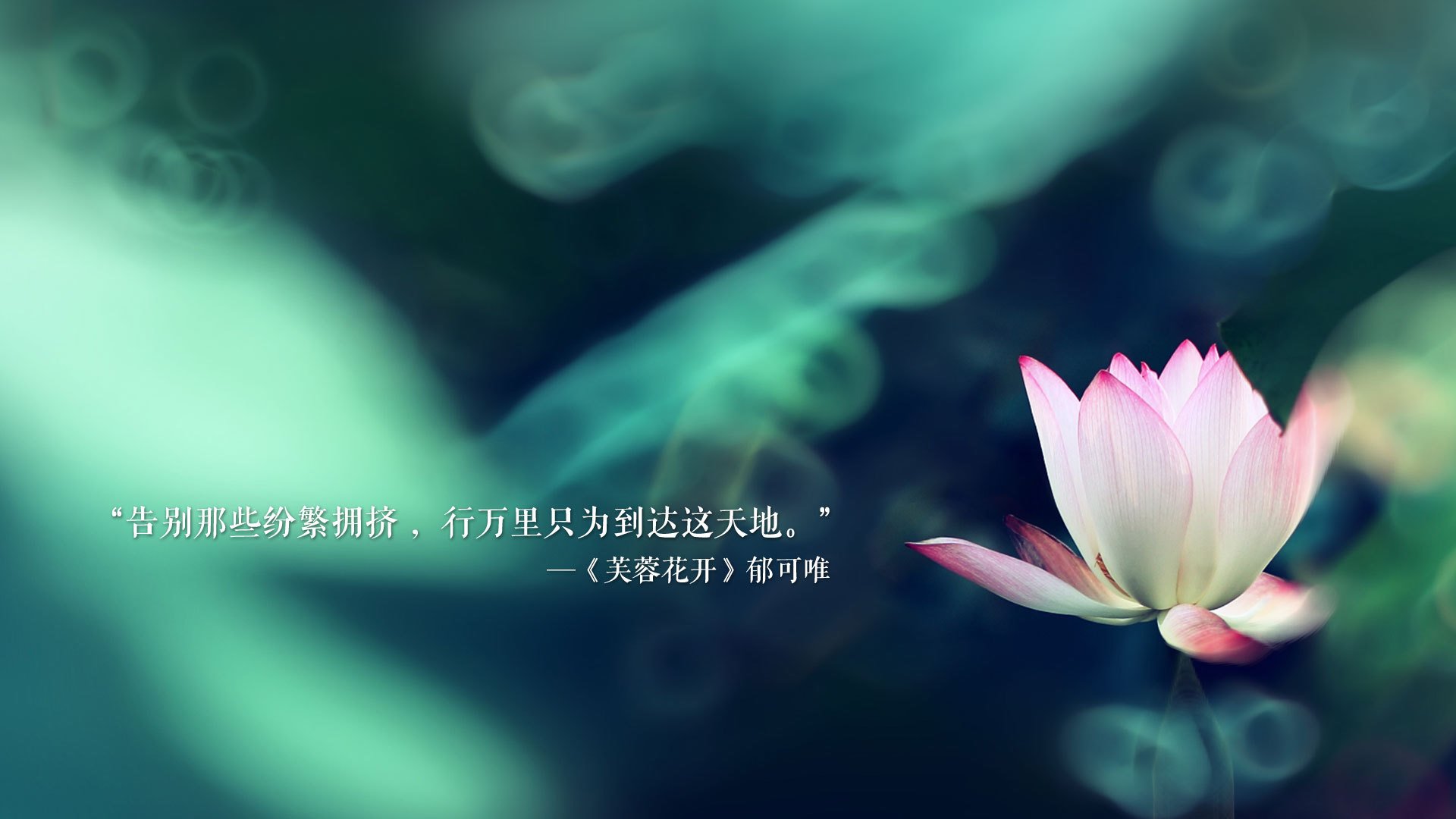 2026世界杯F组巅峰对决,葡萄牙绝地反击,佩德里掌控全局,替补奇兵一剑封喉