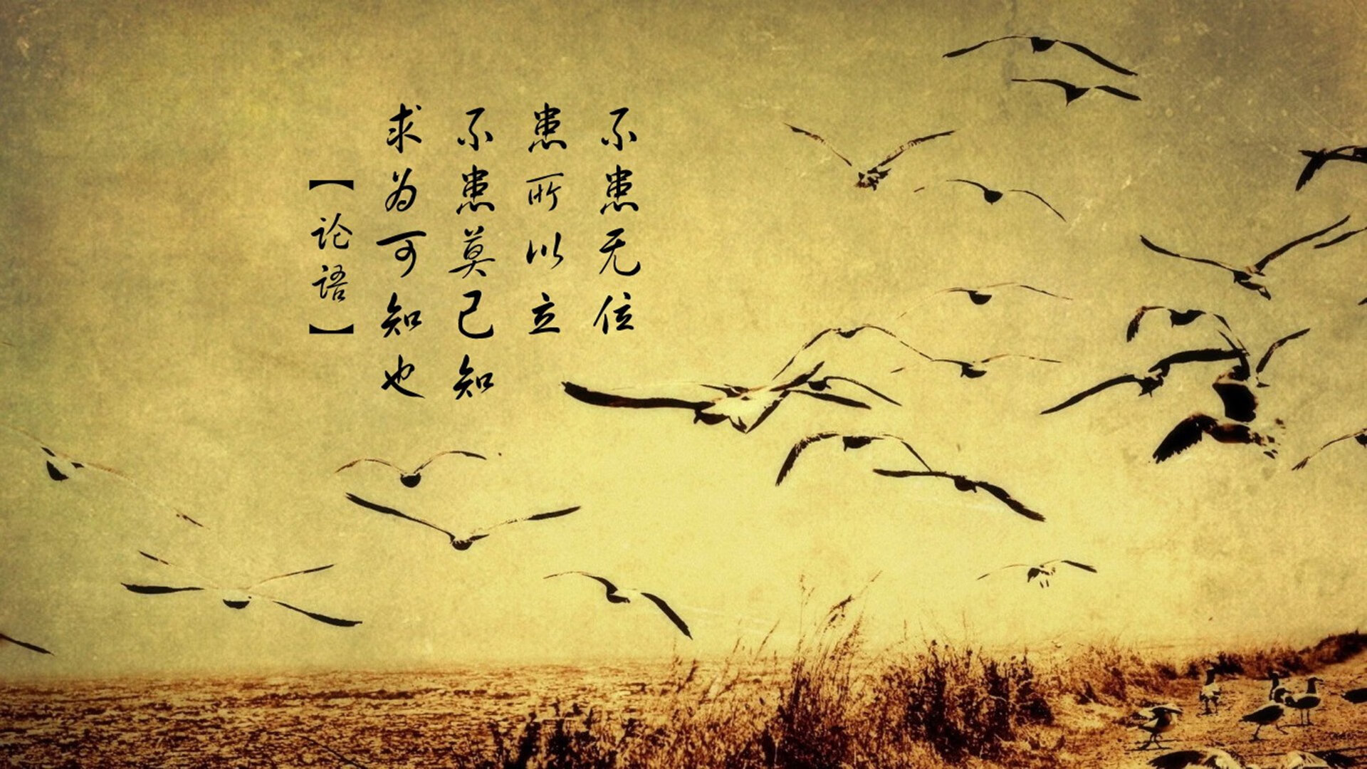 候选